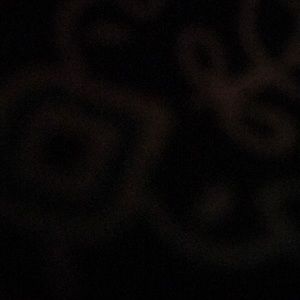 Meet your Posher, Bailey